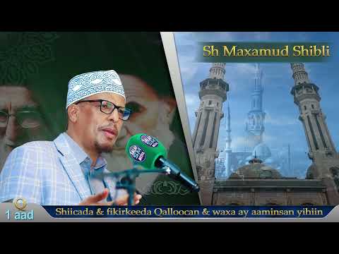 Q 1aad || Shiicada fikirkooda Qalloocan iyo waxa uqarsoon || Sh Maxamud Shibli