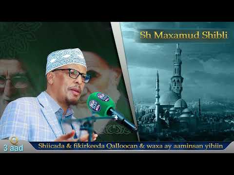 Q 3aad || Shiicada fikirkooda Qalloocan iyo waxa uqarsoon || Sh Maxamud Shibli